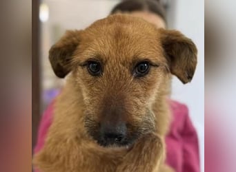 BILBO ist ❤️ allerliebst