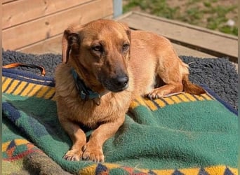 PASHA ist ein kleiner Schatz