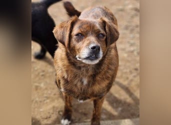 HOLLY ist zuckersüß und lieb