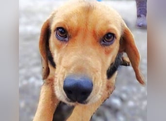 NICKY ist eine absolute Bereicherung