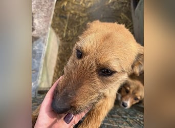 BILBO ist ❤️ allerliebst