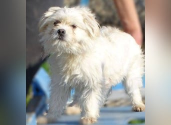 MIMMI die kleine hat große Angst