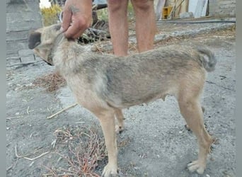 LUNA, das liebe Mädel schwebt in großer Gefahr