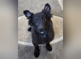 KATE ist ein zuckersüßes Plüschnäschen