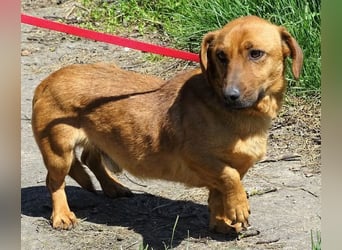 PASHA ist ein kleiner Schatz