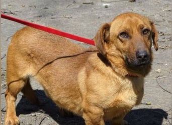 PASHA ist ein kleiner Schatz