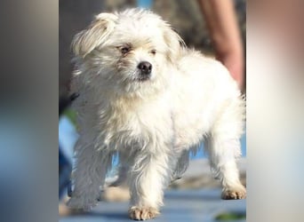 MIMMI die kleine hat große Angst