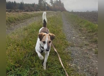 MIRKA liebt streicheln