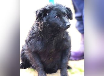 ZARA 2 zittert um ihr Leben