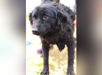 ZARA 2 zittert um ihr Leben