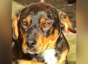 BOOGIE braucht Lebensretter