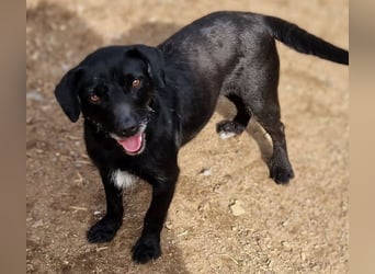 MONA ist ein Goldschatz