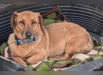 PASHA ist ein kleiner Schatz