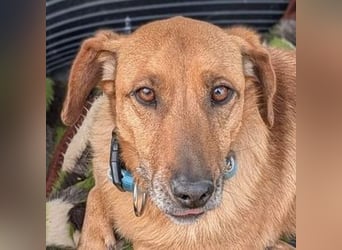 PASHA ist ein kleiner Schatz