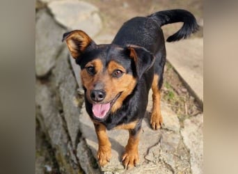 FLOCKY ist der Liebling aller