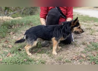 RAGNAR wurde erbarmungslos ausgesetzt