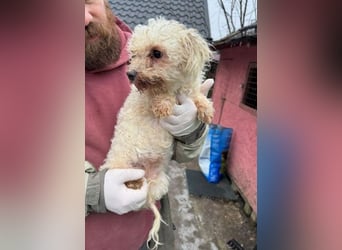 SNOW wurde herzlos entsorgt