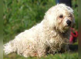 MIKE , wer hilft uns den kleinen zu retten?