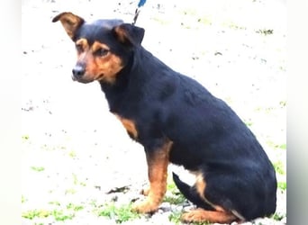 FLOCKY ist der Liebling aller