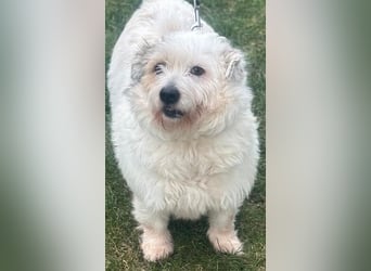 NIRI – Kleine Frohnatur mit großem Appetit