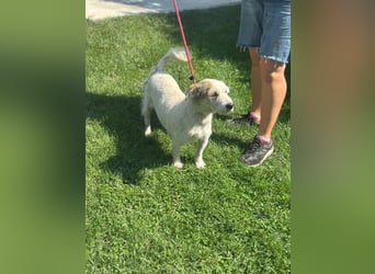 NIRI – Kleine Frohnatur mit großem Appetit