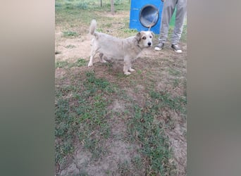 NIRI – Kleine Frohnatur mit großem Appetit