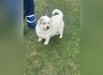 NIRI – Kleine Frohnatur mit großem Appetit