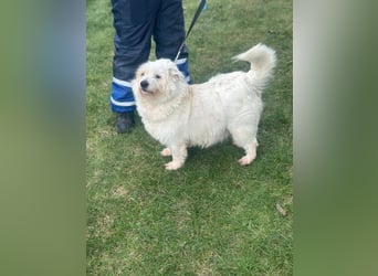 NIRI – Kleine Frohnatur mit großem Appetit