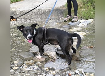 Süße Rubi wünscht sich eine Familie