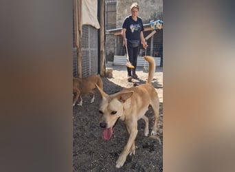 Aaron sucht sein Körbchen