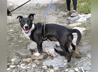 Süße Rubi wünscht sich eine Familie