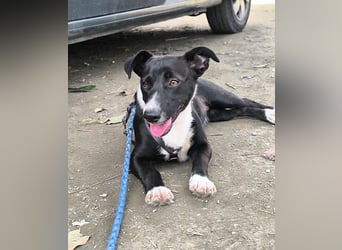 Süße Rubi wünscht sich eine Familie