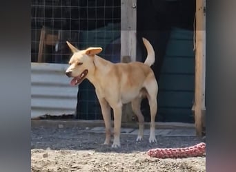 Aaron sucht sein Körbchen