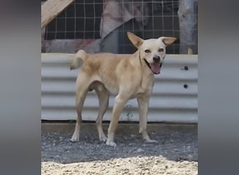 Aaron sucht sein Körbchen