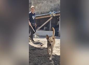 Aaron sucht sein Körbchen