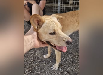 Aaron sucht sein Körbchen