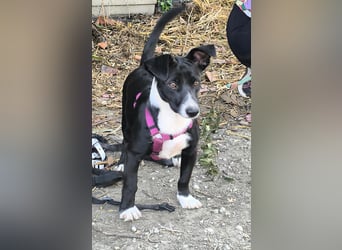 Süße Rubi wünscht sich eine Familie