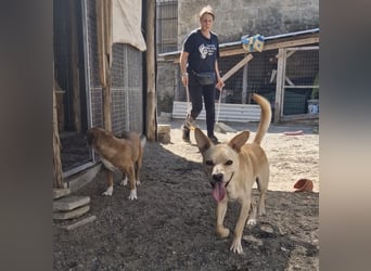 Aaron sucht sein Körbchen