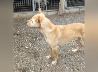 Aaron sucht sein Körbchen