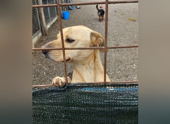 Aaron sucht sein Körbchen