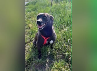 Die kleine Cassy sucht ihr Glück