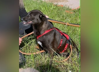 Die kleine Cassy sucht ihr Glück