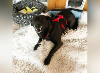 Die kleine Cassy sucht ihr Glück