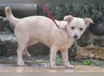 Mira und Mukki, zwei fröhliche kleine Rabauken