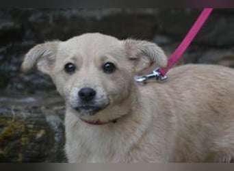 Mira und Mukki, zwei fröhliche kleine Rabauken