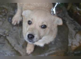 Mira und Mukki, zwei fröhliche kleine Rabauken