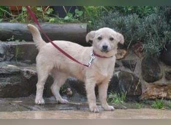 Mira und Mukki, zwei fröhliche kleine Rabauken