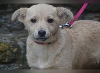 Mira und Mukki, zwei fröhliche kleine Rabauken