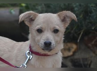 Mira und Mukki, zwei fröhliche kleine Rabauken