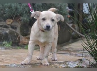 Mira und Mukki, zwei fröhliche kleine Rabauken